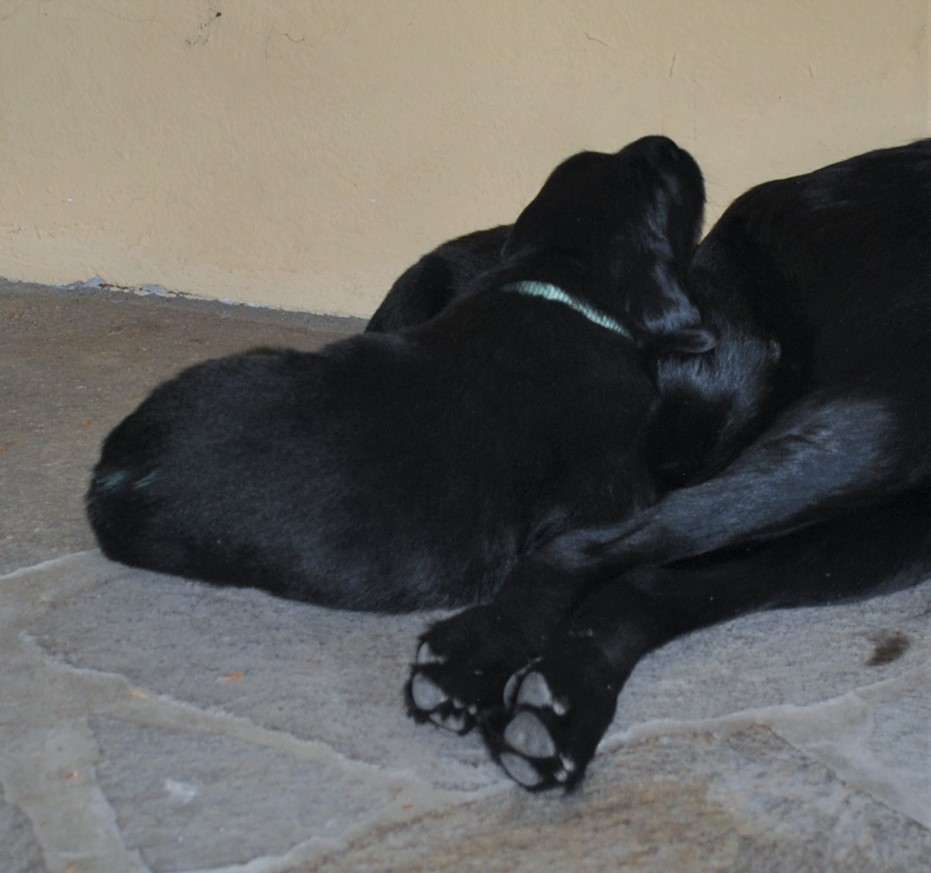 Mr Green_Kuscheln mit Aika_Woche 4