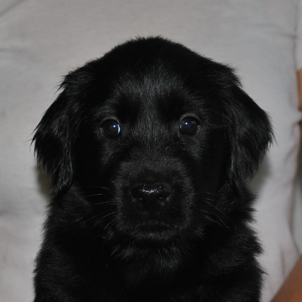 Lady Black Porträt2-W6